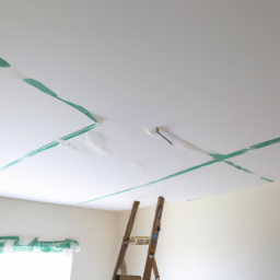 Faux plafond tendu : une finition impeccable pour votre plafond Lamentin